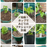 ホッププロジェクト